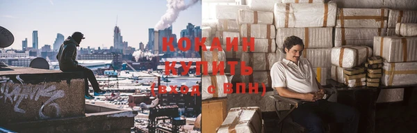 мяу мяу кристалл Гусь-Хрустальный