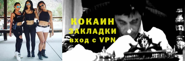 мяу мяу кристалл Гусь-Хрустальный