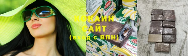 мяу мяу кристалл Гусь-Хрустальный