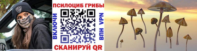 кракен маркетплейс закладка Новотитаровская Галлюциногенные грибы ЛСД